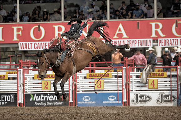 Layton Green, PRCA Saddle Bronc Rider