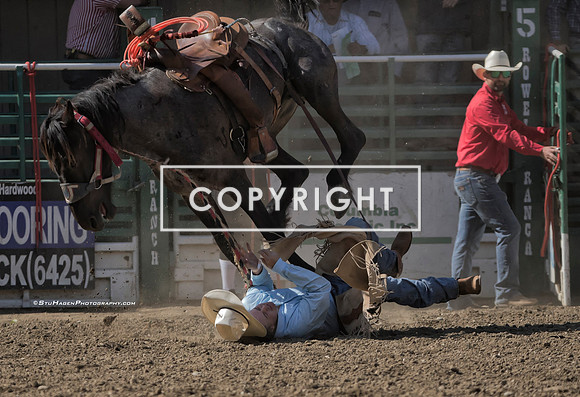 8 - Josiah White - 2024 Rowell Ranch Rodeo - Friday Perf