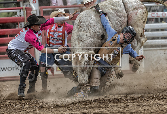 12 - Kyle Eaton, Logan Blasdell, Shane Jennings & Josh Daries - 2025 Clovis Rodeo