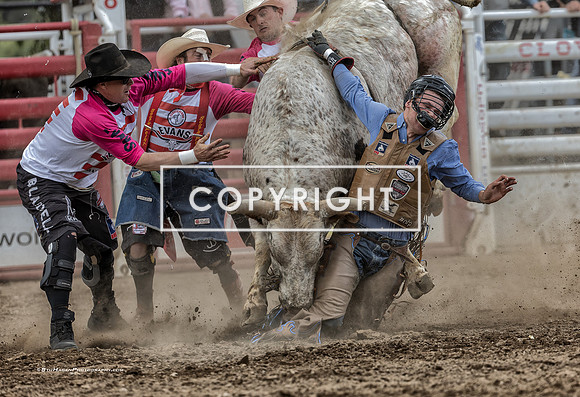 13 - Kyle Eaton, Logan Blasdell, Shane Jennings & Josh Daries - 2025 Clovis Rodeo