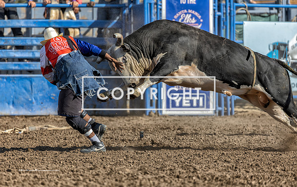 3 - Ray Ray Taylor - 2025 Santa Maria Elks Rodeo