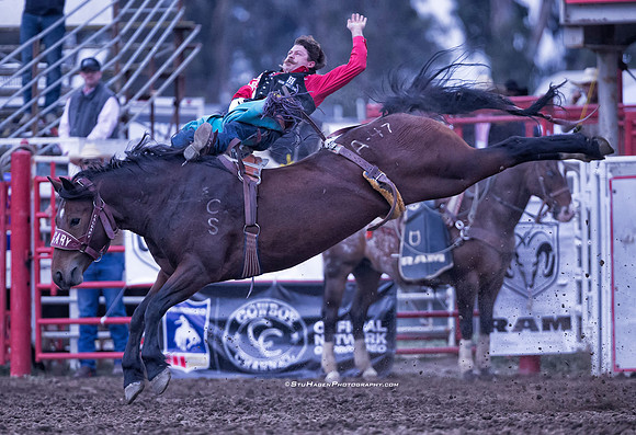 Wyatt Denny, PRCA Bareback Rider