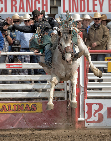 Tanner Aus, PRCA Bareback Rider