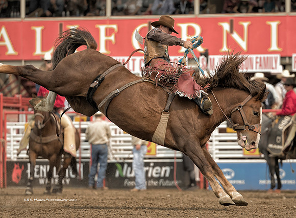 Cody DeMoss, PRCA Saddle Bronc Rider