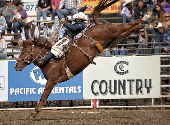 Chase Brooks, PRCA Saddle Bronc Rider