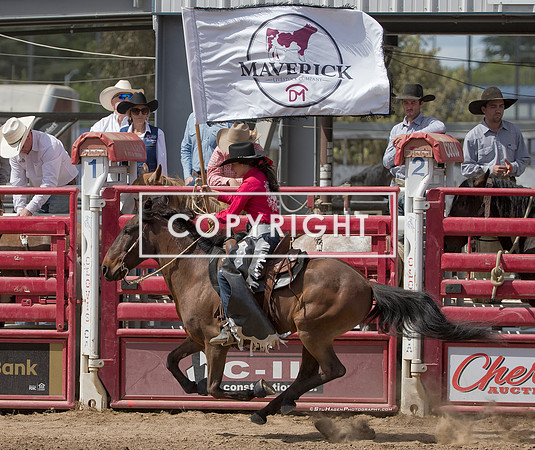 7 - Ellie - 2024 Clovis Rodeo Saturday Perf Maverick Flag