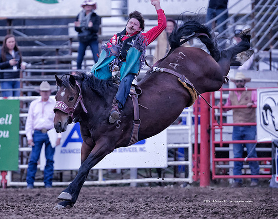 Wyatt Denny, PRCA Bareback Rider
