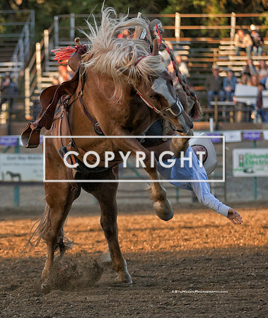 4 - Josiah White - 2024 Rowell Ranch Rodeo - Friday Perf