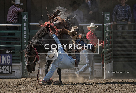 6 - Josiah White - 2024 Rowell Ranch Rodeo - Friday Perf