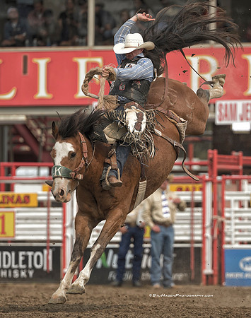 Chase Brooks, PRCA Saddle Bronc Rider