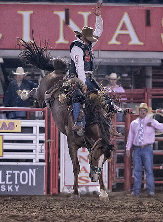 Wyatt Caster, PRCA Saddle Bronc Rider