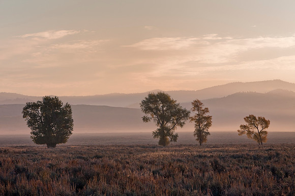 The Four Sisters Of Jackson Hole
