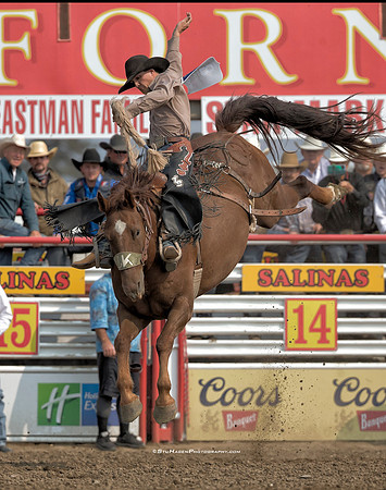 PRCA Saddle Bronc Rider