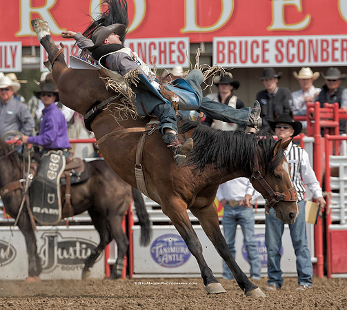 Seth Hardwick, PRCA Bareback Rider