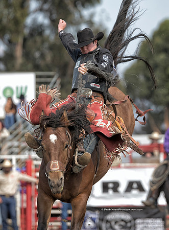 Layton Green, PRCA Saddle Bronc Rider