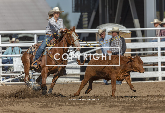 1 - Kaitlyn Andersen - 2025 Clovis Rodeo Round One