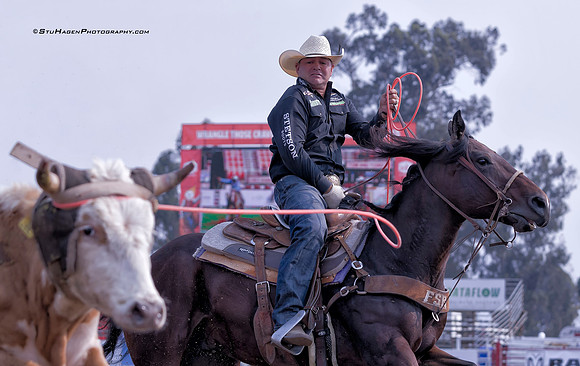 Clay Tryan, PRCA Team Roper