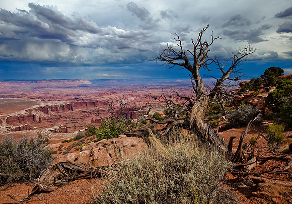 Storm Over The Grand View