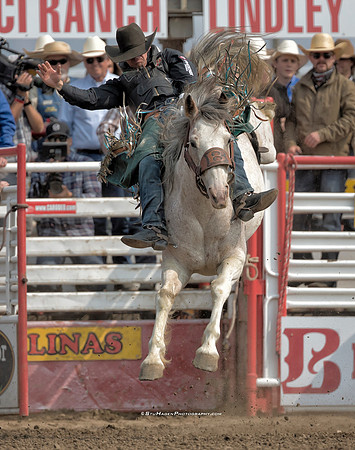 Tanner Aus, PRCA Bareback Rider
