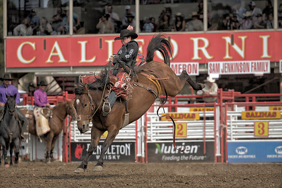 Layton Green, PRCA Saddle Bronc Rider