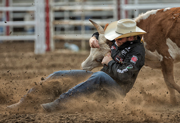 Dakota Eldridge, PRCA Steer Wrestler