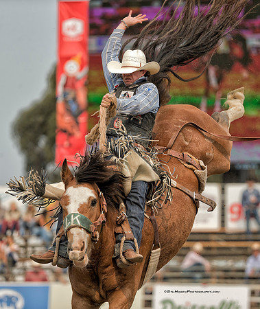 Chase Brooks, PRCA Saddle Bronc Rider