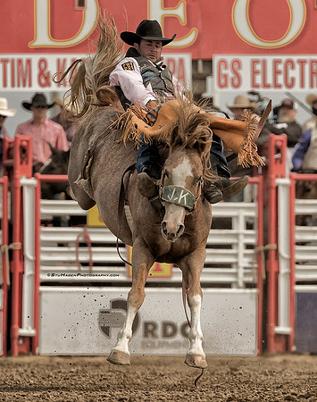 Kaycee Feild, PRCA Bareback Rider