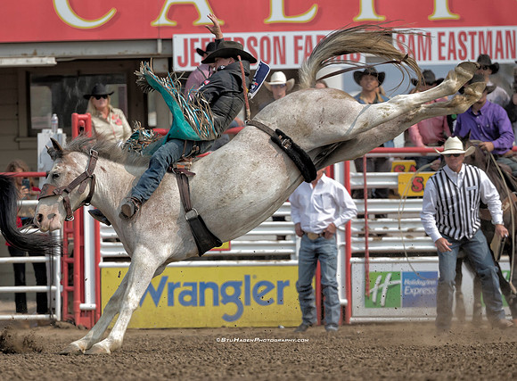 Tanner Aus, PRCA Bareback Rider