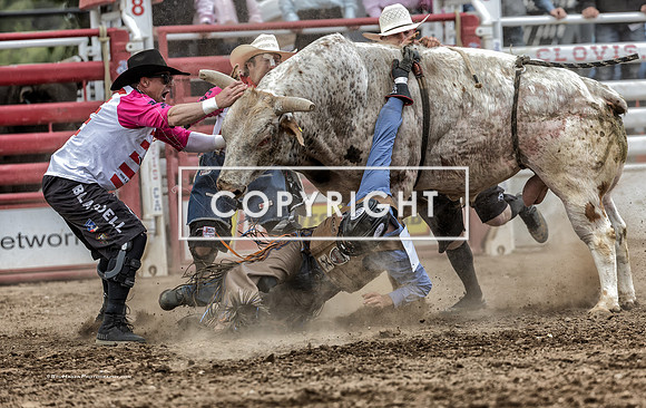 10 - Kyle Eaton, Logan Blasdell, Shane Jennings & Josh Daries - 2025 Clovis Rodeo
