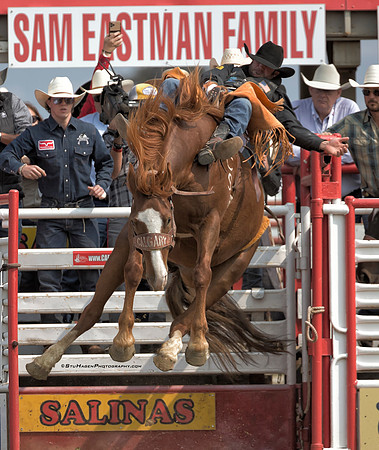 Kaycee Feild, PRCA Bareback Rider