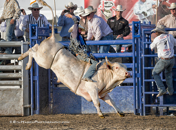 Tim Bingham on 117 Mellow Yellow RO