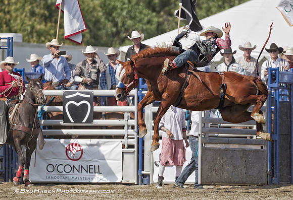 Kash Wilson on 011 Peppy Bound RO