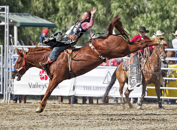 Kash Wilson on 011 Peppy Bound RO