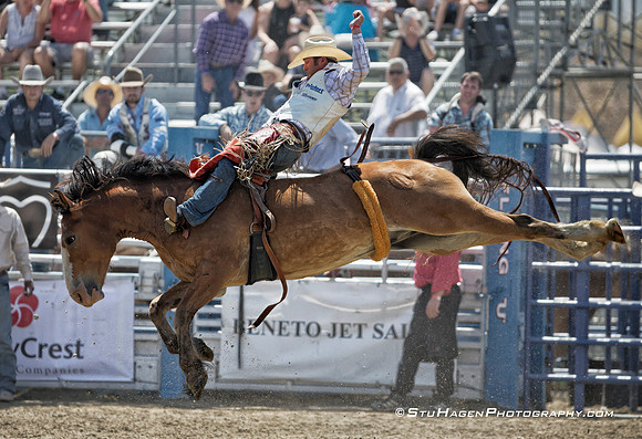 Kaycee Fields on R57 Alpha dog CC