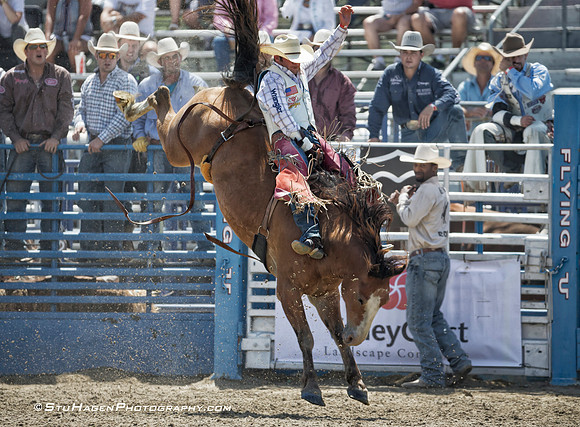 Kaycee Fields on R57 Alpha dog CC