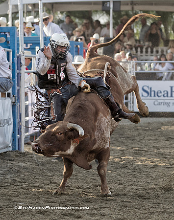 Tanner Learmont on 816 Sherbert BI