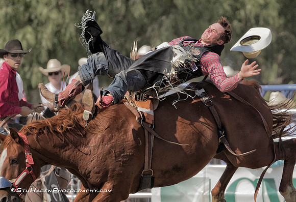 Kash Wilson on 011 Peppy Bound RO