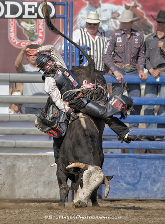 Brennon Eldred on 367 Dark Shadow