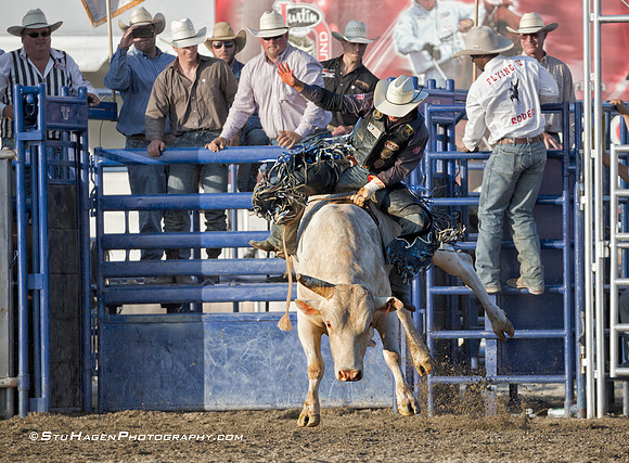 Tim Bingham on 117 Mellow Yellow RO