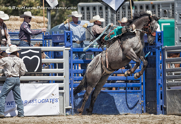 Justin Caylor on 745 Blue Feather