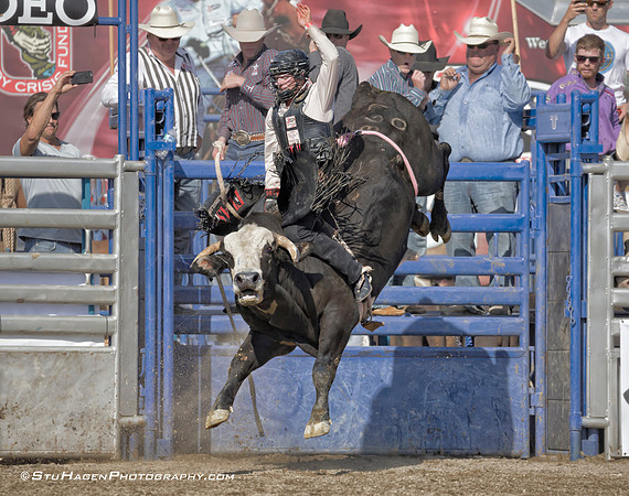 Brennon Eldred on 367 Dark Shadow