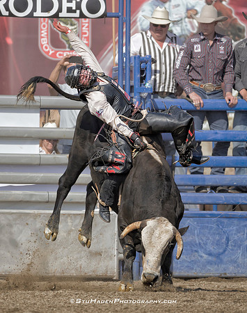 Brennon Eldred on 367 Dark Shadow