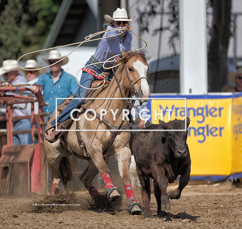 1 - Timber Allenbrand - 2023 Clovis Rodeo