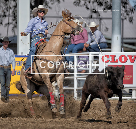 3 - Timber Allenbrand - 2023 Clovis Rodeo