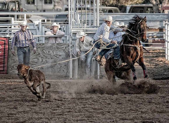 Brawley Calf Roper 2