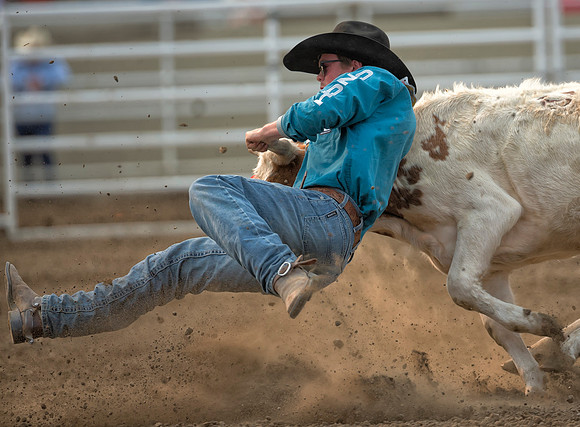 Tucker Allen, PRCA Steer Wrestler
