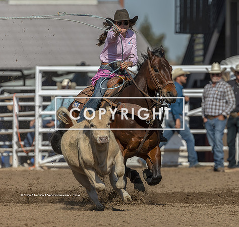 1 - Sutton Mang - 2025 Clovis Rodeo Round One