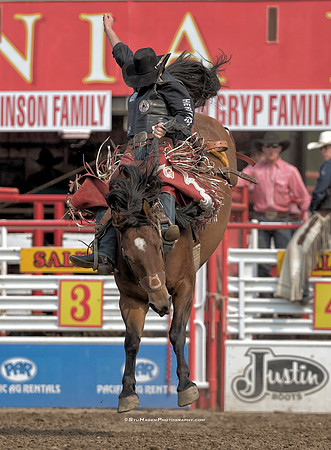 Layton Green, PRCA Saddle Bronc Rider