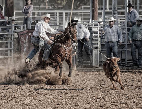 Brawley Calf Roper 1
