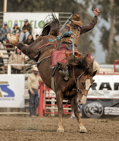 Cody DeMoss, PRCA Saddle Bronc Rider